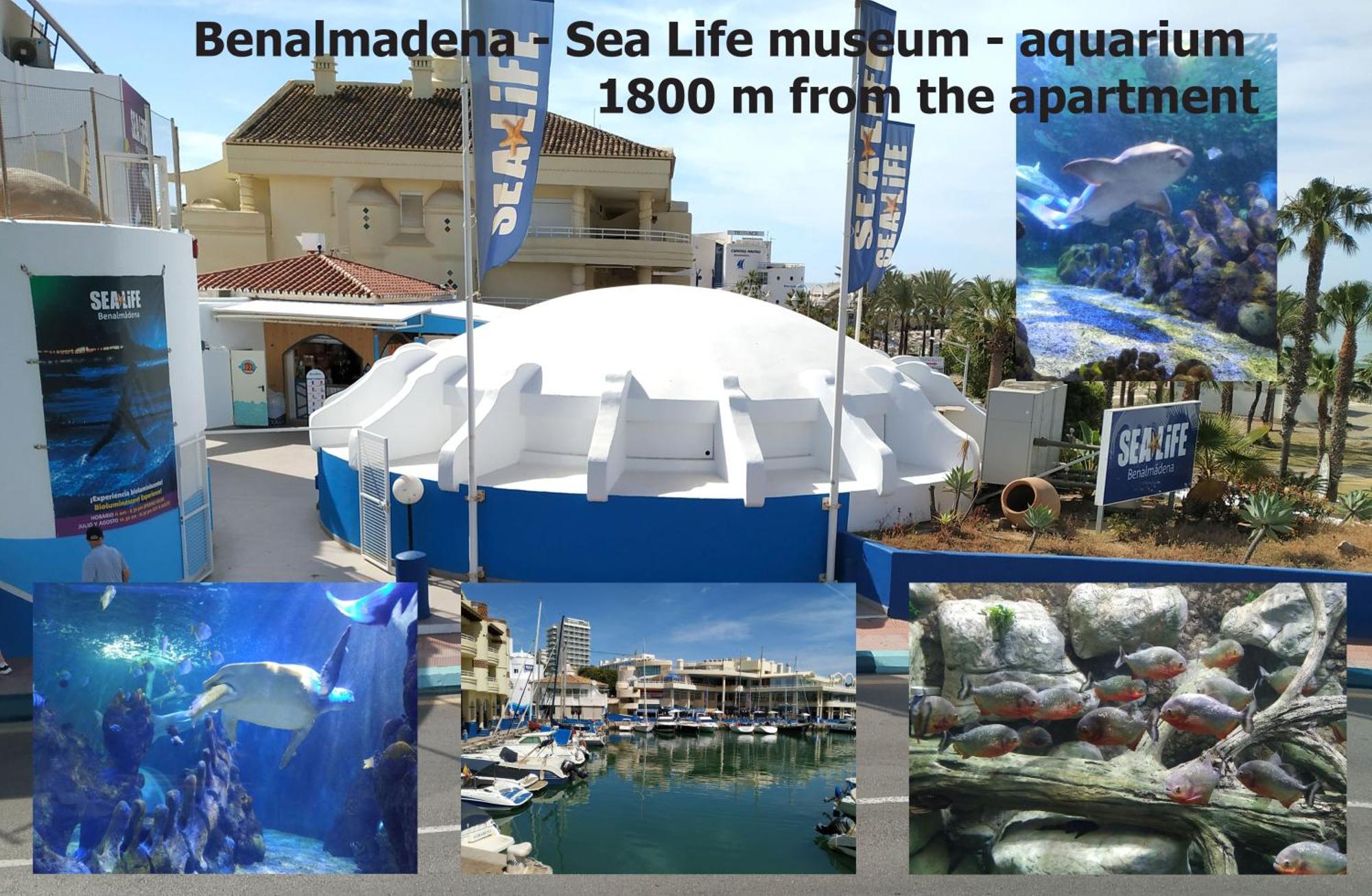 Carihuela Luxus Holiday ตอร์เรโมลิโนส ภายนอก รูปภาพ